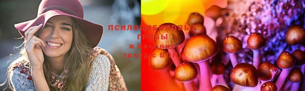 гидра Баксан