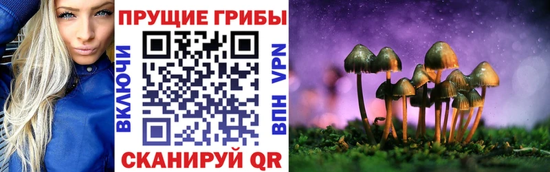 Купить где  Фатеж  Галлюциногенные грибы прущие грибы 
